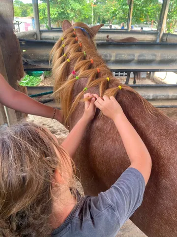 Enfant tressant la crinière d’un cheval